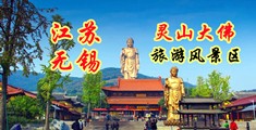 自摸15p江苏无锡灵山大佛旅游风景区